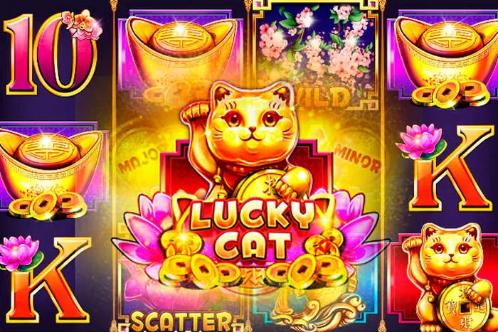 Dollycasinodownload Store tarjoaa laajan valikoiman kolikko- ja pöytäpelejä